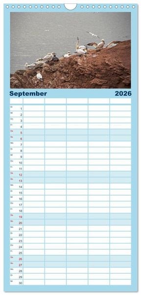 Produktbild: Familienplaner 2026 - Helgoland - idyllische Nordseeinsel mit 5 Spalten (Wandkalender, 21 x 45 cm) CALVENDO