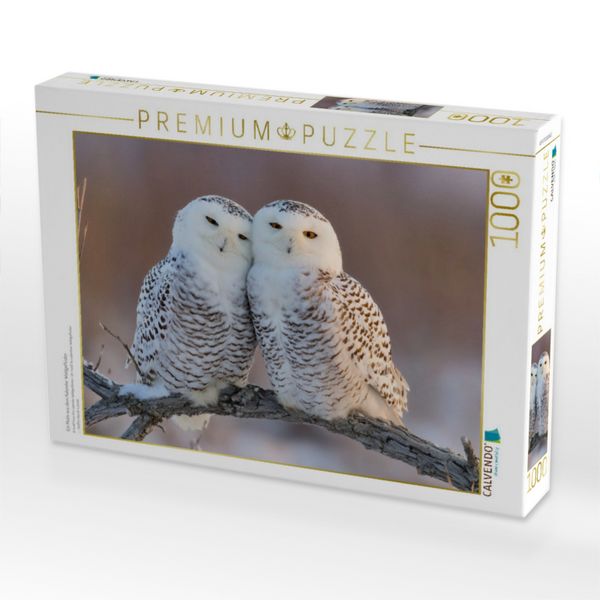 Produktbild: CALVENDO Puzzle Ein Motiv aus dem Kalender Waldgefl&uuml;ster | 1000 Teile Lege-Gr&ouml;&szlig;e 64x48cm Foto-Puzzle f&uuml;r gl&uuml;ckliche Stunden