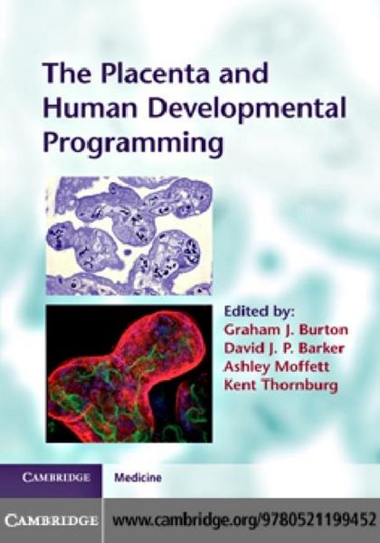 Produktbild: Placenta and Human Developmental Programming