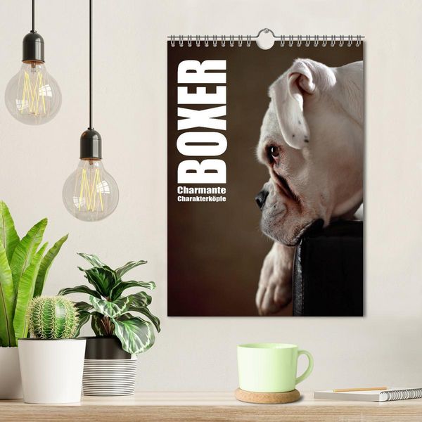 Produktbild: Boxer - Charmante Charakterk&ouml;pfe (Wandkalender 2026 DIN A4 hoch), CALVENDO Monatskalender