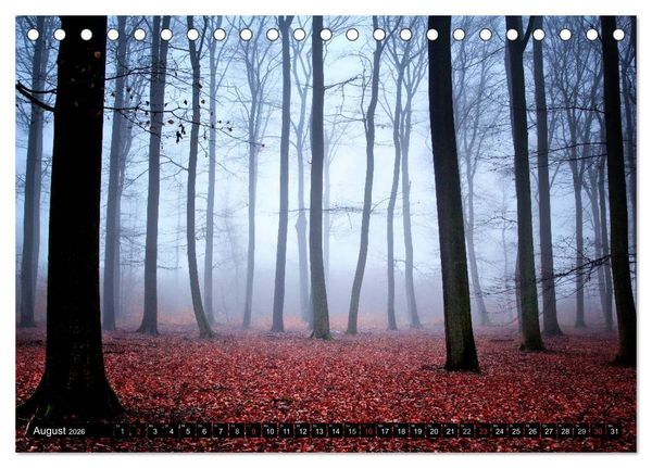 Produktbild: Zauberhafter Sachsenwald (Tischkalender 2026 DIN A5 quer), CALVENDO Monatskalender