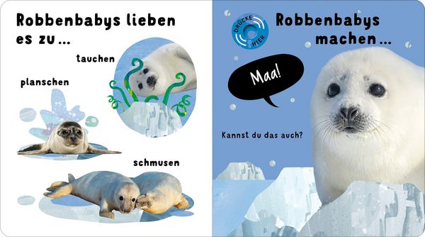 Produktbild: Mein kleines buntes Soundbuch &ndash; Tierkinder