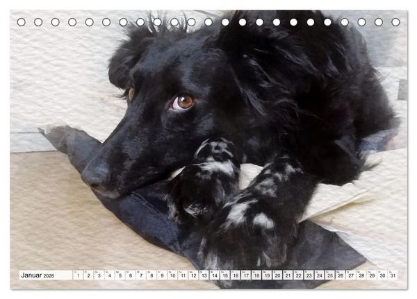 Produktbild: Niedliche Hunde - Digitale Aquarelle (Tischkalender 2026 DIN A5 quer), CALVENDO Monatskalender