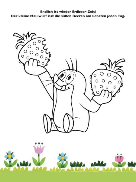 Produktbild: Der kleine Maulwurf: Mein liebstes Stickerbuch
