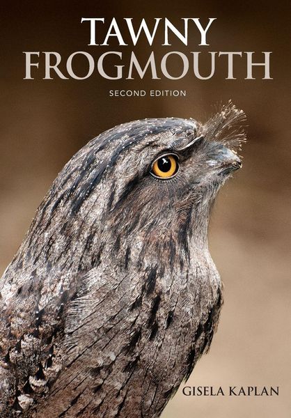 Produktbild: Tawny Frogmouth