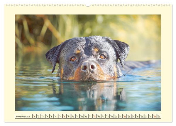 Produktbild: Rottweiler Momente. Kraftvolle Eleganz in der Natur (Wandkalender 2026 DIN A2 quer), CALVENDO Monatskalender