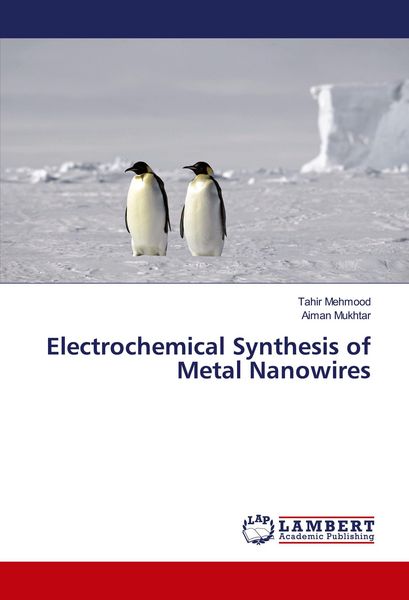 Produktbild: Electrochemical Synthesis of Metal Nanowires
