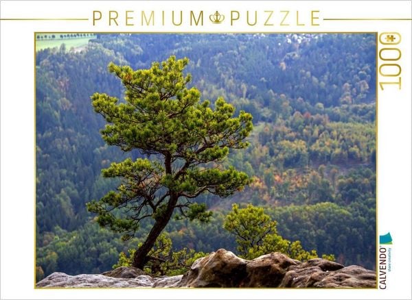 CALVENDO Puzzle Krüppelkiefer auf dem Lilienstein | 1000 Teile Lege-Größe 64x48cm Foto-Puzzle für glückliche Stunden