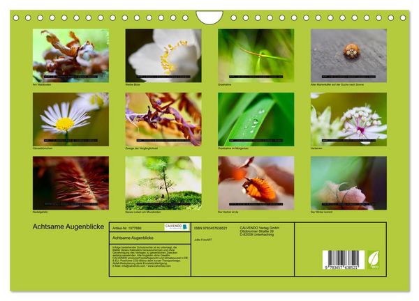 Produktbild: Achtsame Augenblicke (Wandkalender 2026 DIN A4 quer), CALVENDO Monatskalender