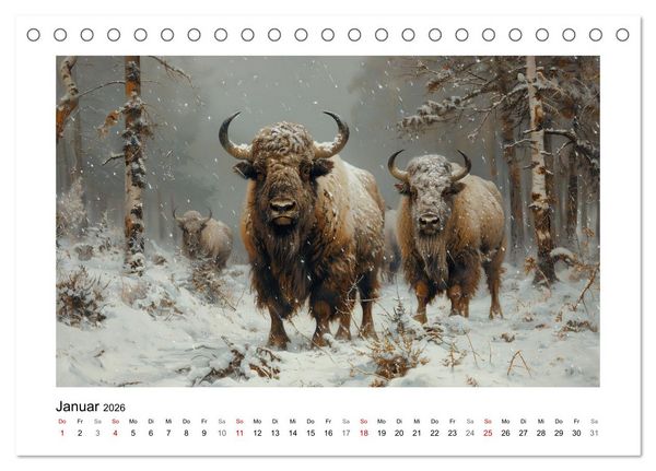 Produktbild: Wilde Rinder (Tischkalender 2026 DIN A5 quer), CALVENDO Monatskalender