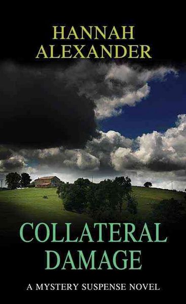 Produktbild: Collateral Damage