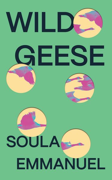 Produktbild: Wild Geese