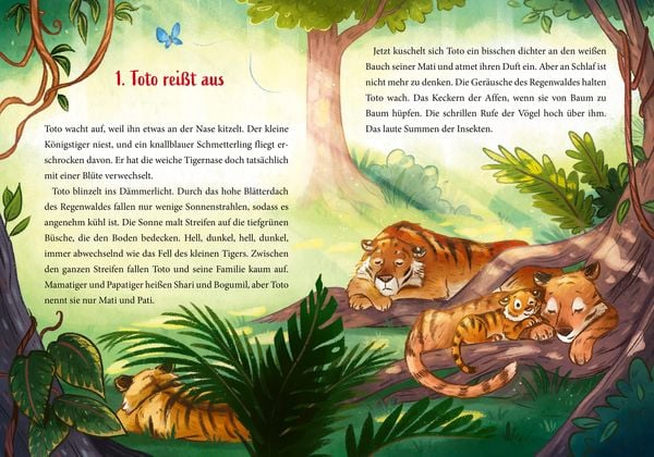 Tiger Toto sucht das Abenteuer