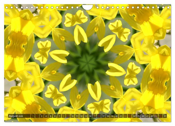 Produktbild: Natur im Kaleidoskop (Wandkalender 2026 DIN A4 quer), CALVENDO Monatskalender