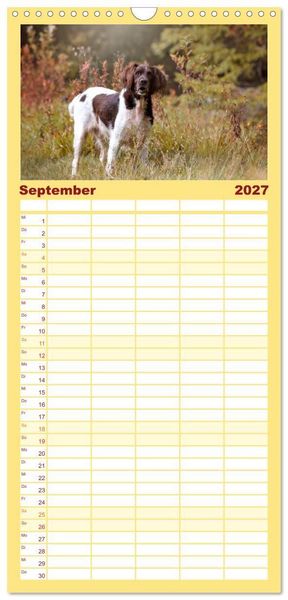 Produktbild: Familienplaner 2027 - Passion Jagdhund - Kleiner M&uuml;nsterl&auml;nder mit 5 Spalten (Wandkalender, 21 x 45 cm) CALVENDO