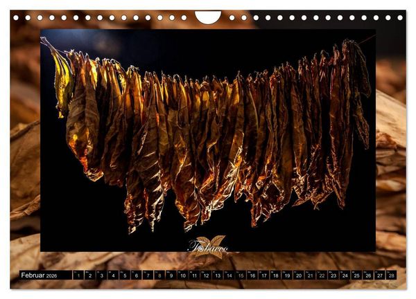 Produktbild: Tobacco - Genuss und Flair der Tabakkultur (Wandkalender 2026 DIN A4 quer), CALVENDO Monatskalender