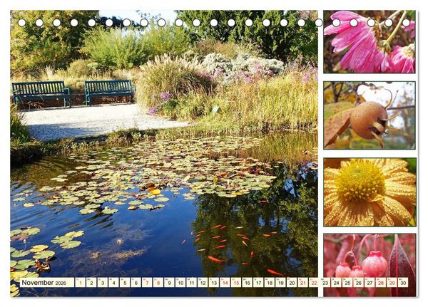 Produktbild: Im Hermannshof - Ein Traumgarten in Weinheim (Tischkalender 2026 DIN A5 quer), CALVENDO Monatskalender