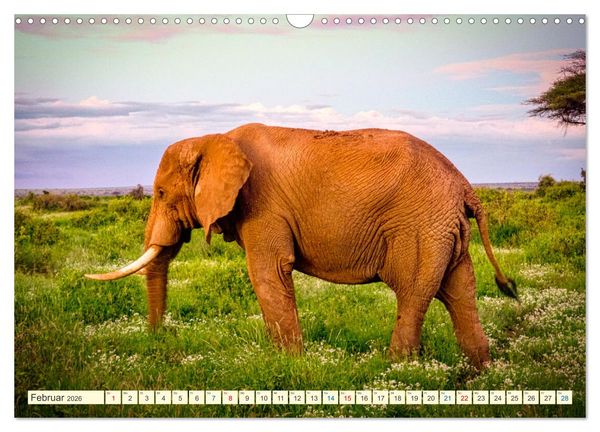 Produktbild: Die Riesen der Savanne (Wandkalender 2026 DIN A3 quer), CALVENDO Monatskalender