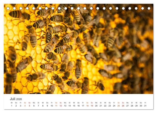 Produktbild: Bienen und Waben (Tischkalender 2026 DIN A5 quer), CALVENDO Monatskalender
