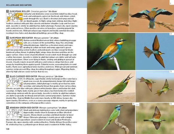 Produktbild: Birds of the Mediterranean: A Photographic Guide