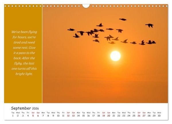 Produktbild: Animals like humour (Wall Calendar 2026 DIN A3 landscape), CALVENDO 12 Month Wall Calendar