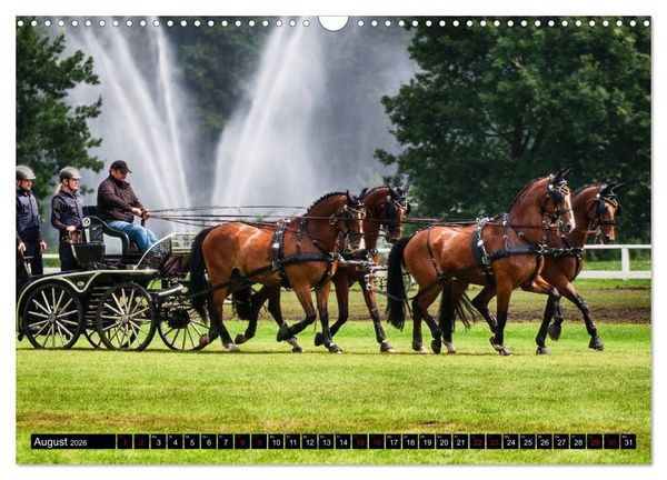 Produktbild: Fahrpferde in Aktion (Wandkalender 2026 DIN A3 quer), CALVENDO Monatskalender