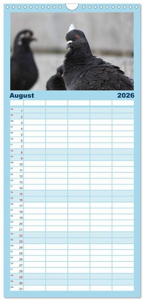 Produktbild: Familienplaner 2026 - Geliebte Tauben mit 5 Spalten (Wandkalender, 21 x 45 cm) CALVENDO
