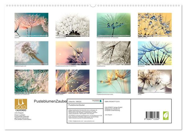 Produktbild: PusteblumenZauber (hochwertiger Premium Wandkalender 2026 DIN A2 quer), Kunstdruck in Hochglanz