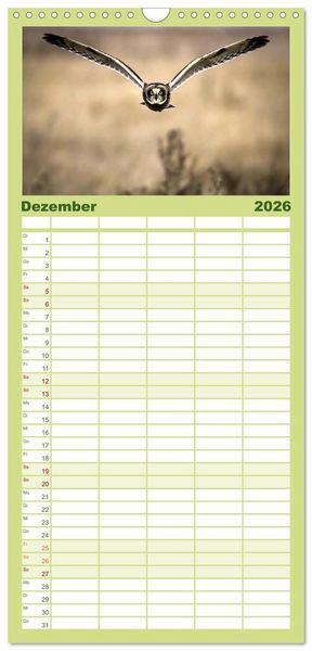 Produktbild: Familienplaner 2026 - Eulen - Wachsame und geheimnisvolle Augen mit 5 Spalten (Wandkalender, 21 x 45 cm) CALVENDO