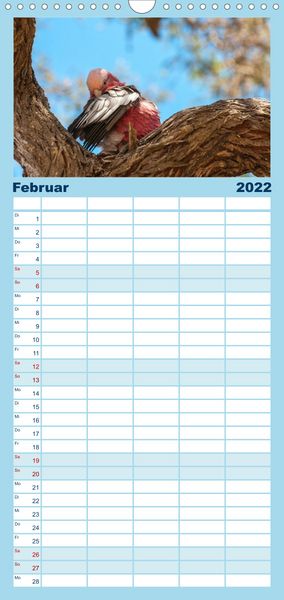 Produktbild: Familienplaner V&ouml;gel von "Down Under" Australien (Wandkalender 2022 , 21 cm x 45 cm, hoch)