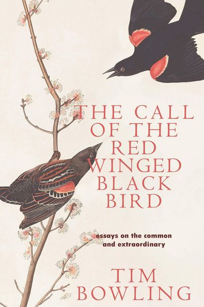 Produktbild: The Call of the Red-Winged Blackbird: Essays on the Common and Extraordinary