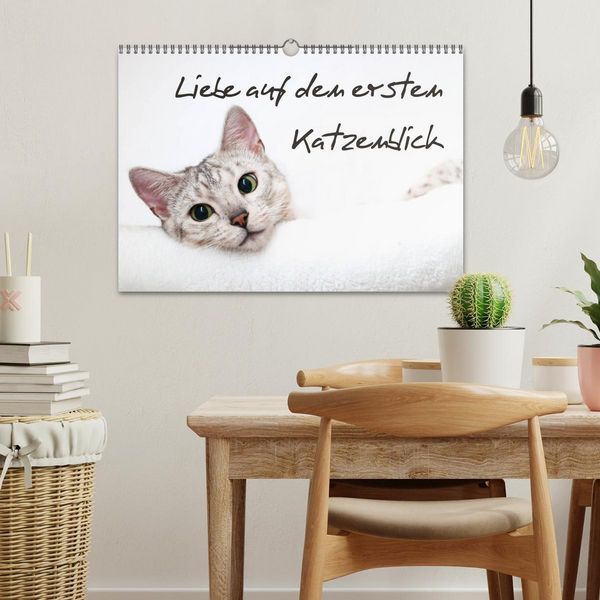 Produktbild: Liebe auf den ersten Katzenblick (Wandkalender 2026 DIN A3 quer), CALVENDO Monatskalender
