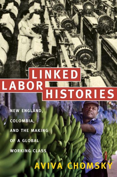 Produktbild: Linked Labor Histories