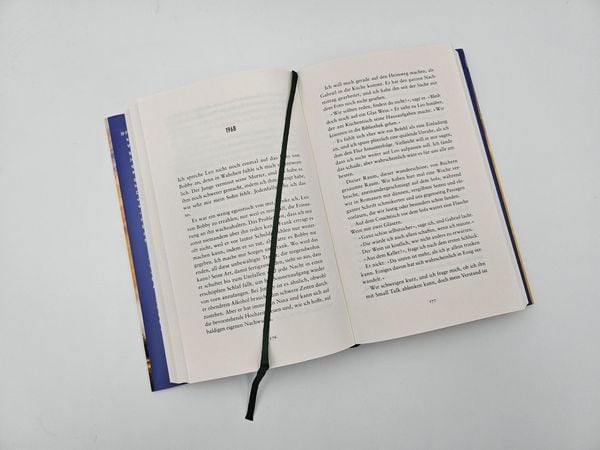 Produktbild: Wie Risse in der Erde