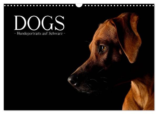 Produktbild: Dogs (Wandkalender 2026 DIN A3 quer), CALVENDO Monatskalender
