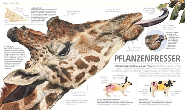 Produktbild: Mega-Wissen. Natur