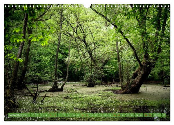 Produktbild: Les Hauts-de-France (Calendrier mural 2026 DIN A3 vertical), CALVENDO calendrier mensuel