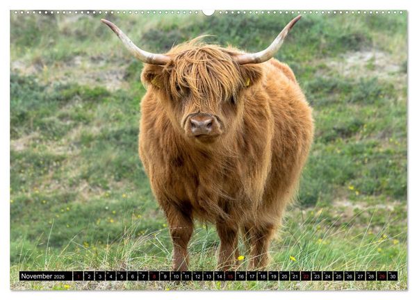 Produktbild: Egmond aan Zee - Nat&uuml;rlich (hochwertiger Premium Wandkalender 2026 DIN A2 quer), Kunstdruck in Hochglanz