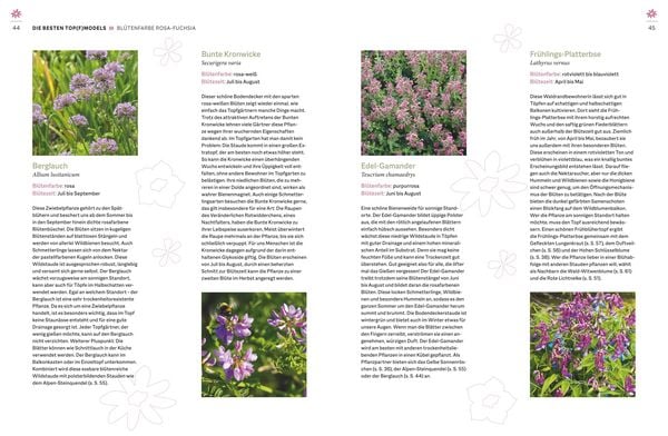 Produktbild: Wildblumen f&uuml;r Balkon und Terrasse