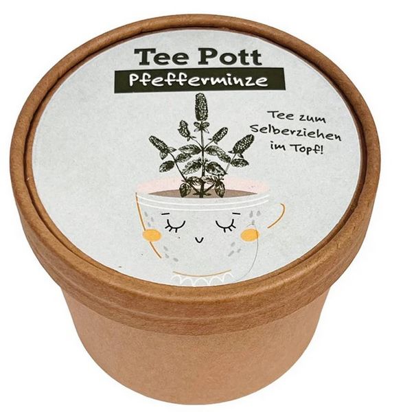 Produktbild: Teepott Pfefferminz