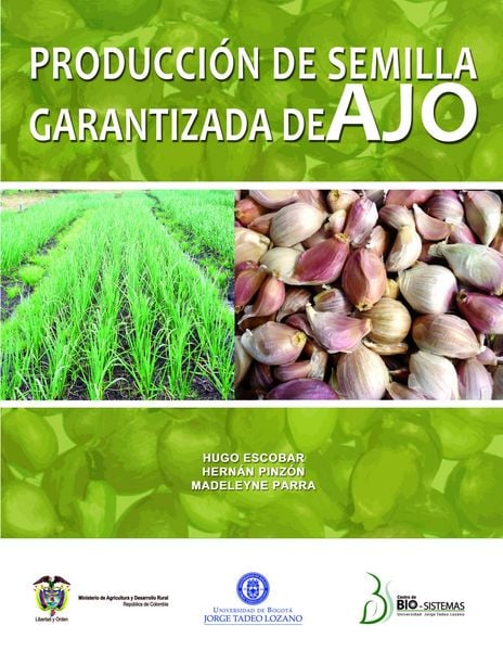 Produktbild: Producci&oacute;n de semilla garantizada de ajo