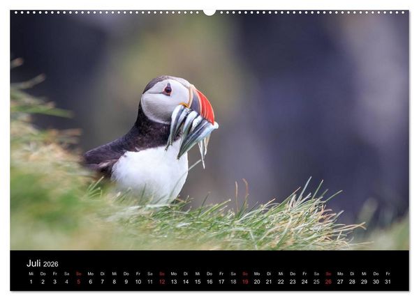 Produktbild: ISLAND - Zauber der Natur (Wandkalender 2026 DIN A2 quer), CALVENDO Monatskalender