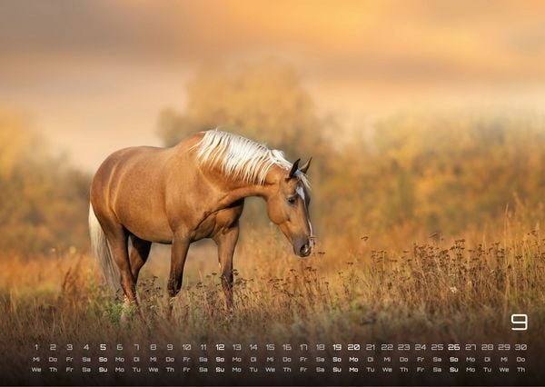 Produktbild: Pferdegefl&uuml;ster - Der Pferdekalender - 2027 - Kalender DIN A3