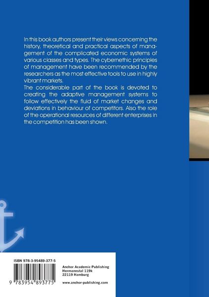 Produktbild: Managing economic systems within competitive markets (published in russian)