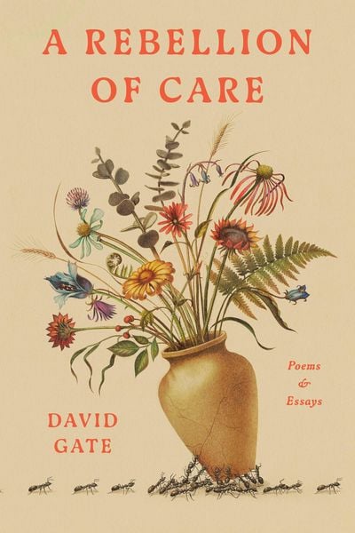 Produktbild: A Rebellion of Care
