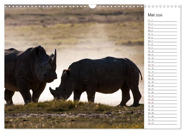 Produktbild: Emotionale Momente: Nash&ouml;rner (Wandkalender 2026 DIN A3 quer), CALVENDO Monatskalender