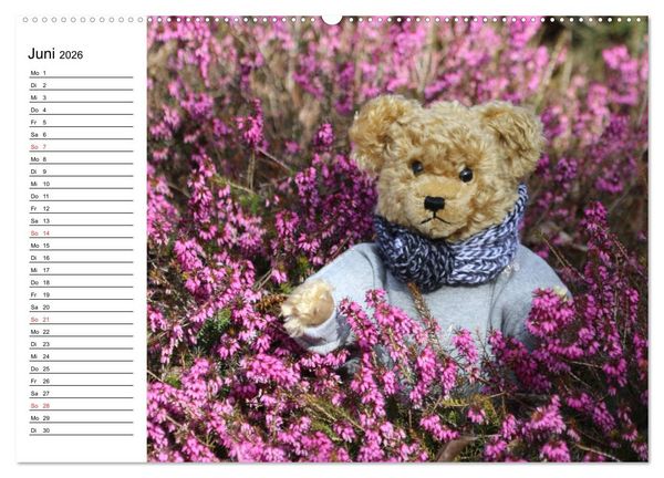 Produktbild: Teddy unterwegs (hochwertiger Premium Wandkalender 2026 DIN A2 quer), Kunstdruck in Hochglanz