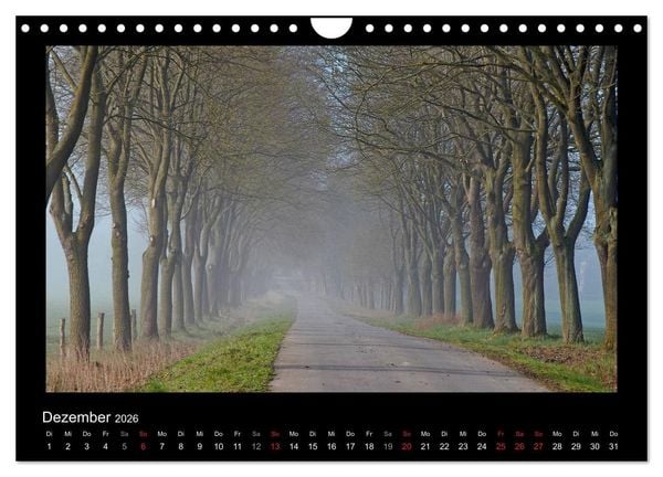 Produktbild: M&auml;rchenhafter Reinhardswald und Urwald Sababurg (Wandkalender 2026 DIN A4 quer), CALVENDO Monatskalender