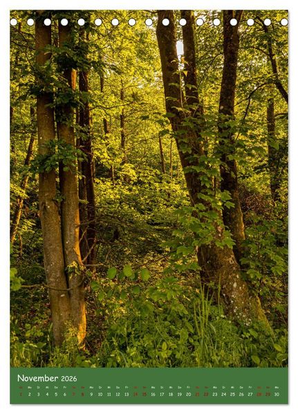 Produktbild: Ich bin dann mal im Wald (Tischkalender 2026 DIN A5 hoch), CALVENDO Monatskalender