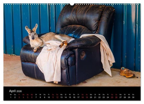 Produktbild: Australien - Der Westen (hochwertiger Premium Wandkalender 2026 DIN A2 quer), Kunstdruck in Hochglanz